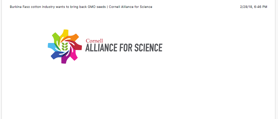 Burkina Faso cotton industry wants to bring back GMO seeds  Cornell Alliance for Science